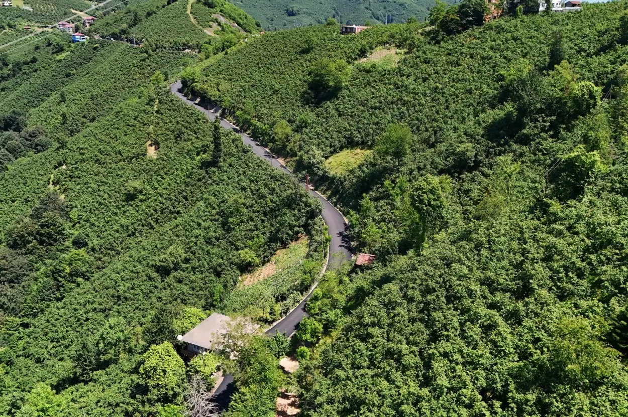 Ordu’da Kırsal Ulaşım Güçleniyor