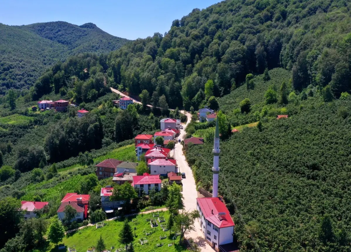 Ordu’da Ulaşım Atağı: Aybastı’ya Beton Yol