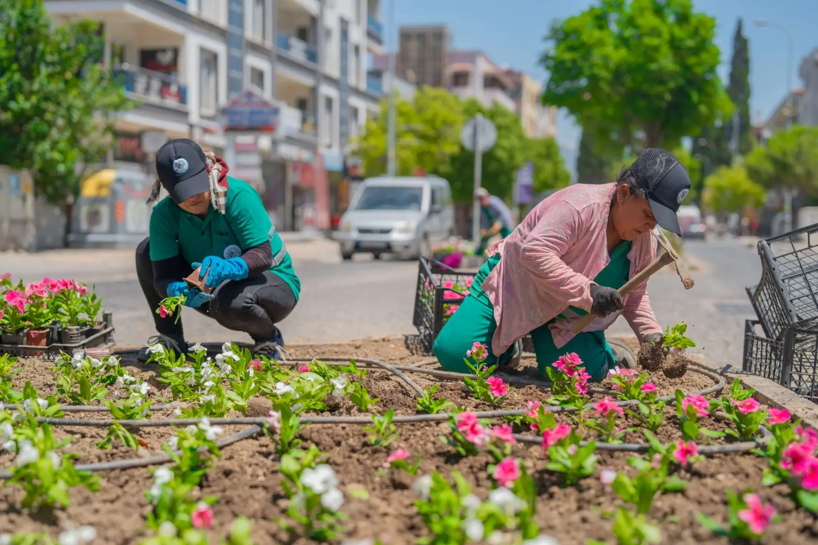 Milas’ta Yeşil Alanlar İçin Yoğun Mesai