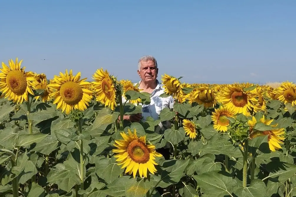 Edirne’den Ayçiçeği ve Pirinç İthalatına Tepki