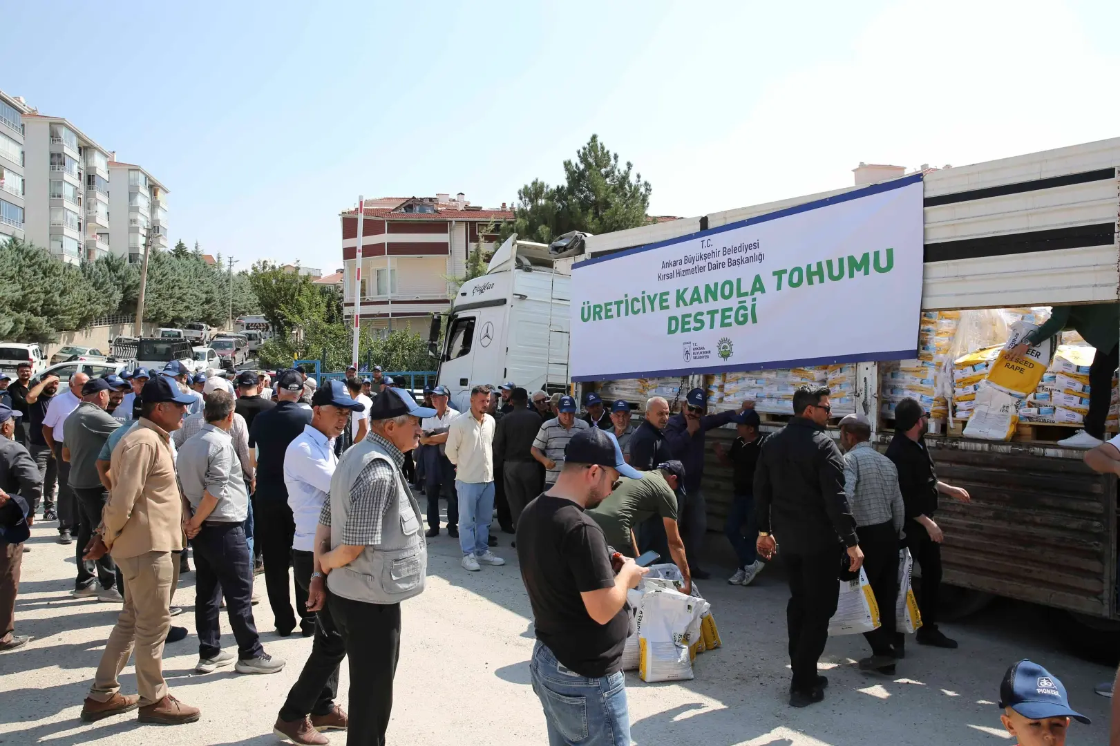 Ankara’da çiftçilere yüzde 50 hibeli kanola tohumu desteği